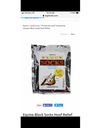 Equine Block Socks