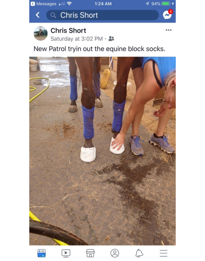 Equine Block Socks