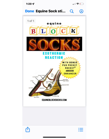 Equine Block Socks